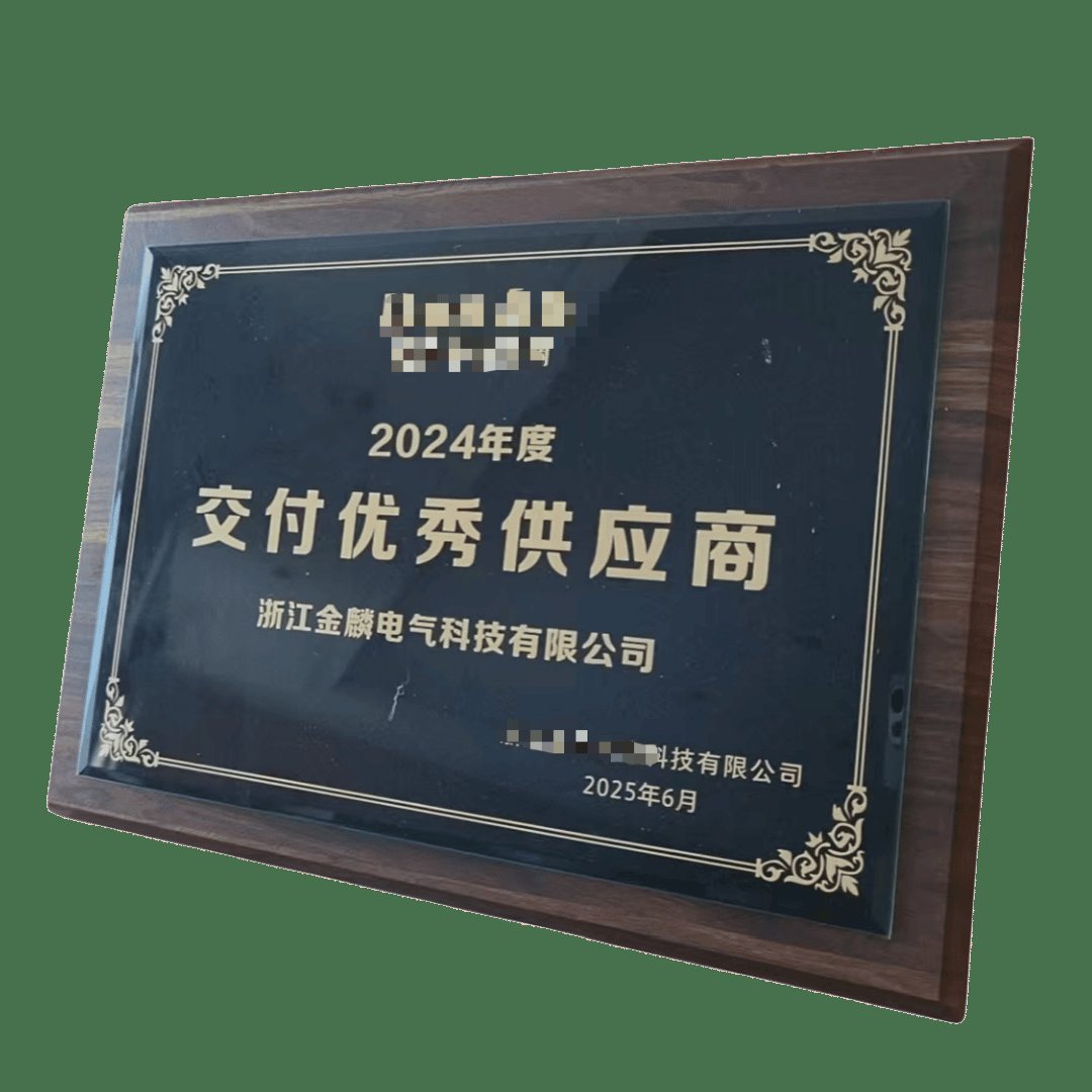 交付优秀供应商奖