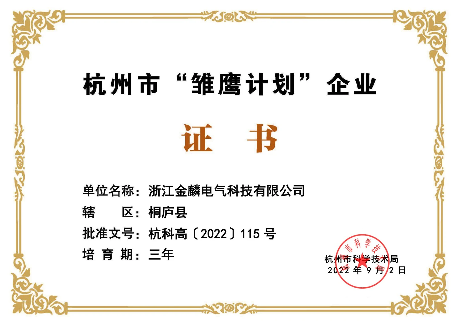 杭州市雏鹰计划企业证书